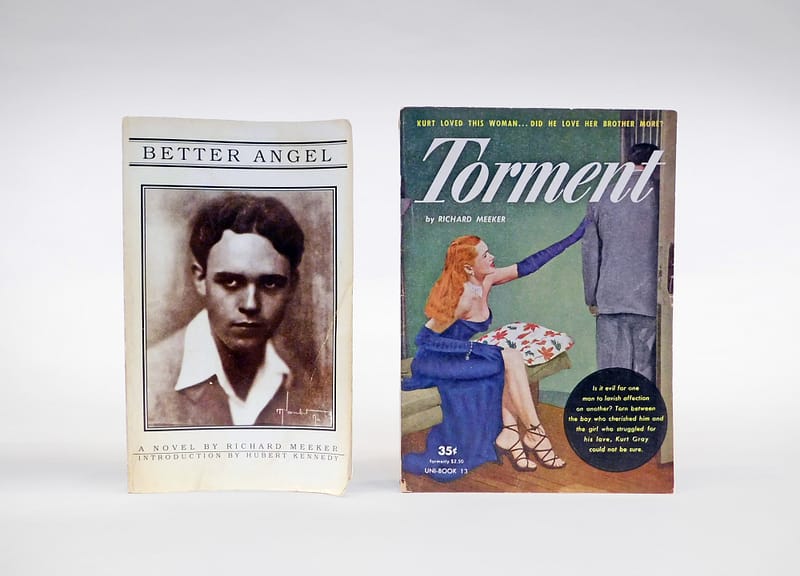 Book Cover of "Better Angel" and "Torment" by Forman Brown